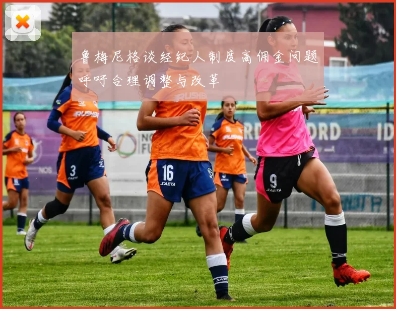 鲁梅尼格谈经纪人制度高佣金问题呼吁合理调整与改革