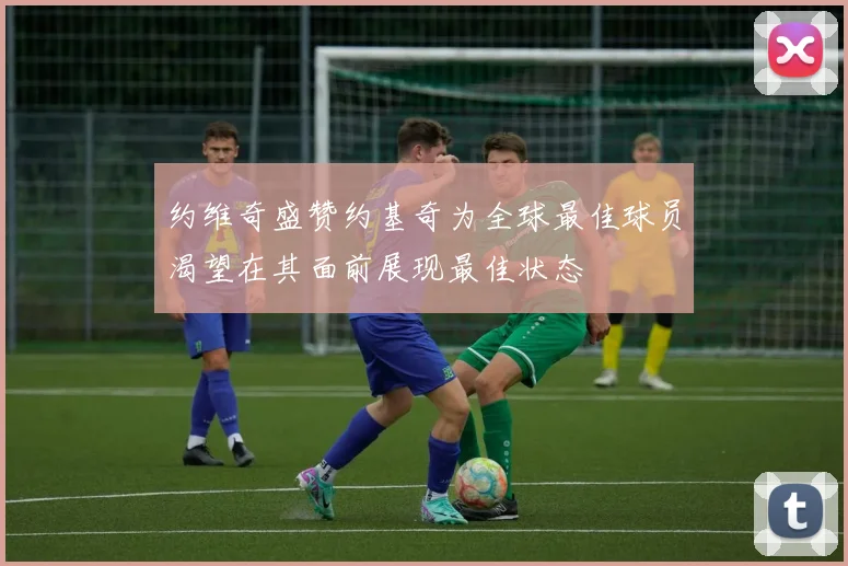 约维奇盛赞约基奇为全球最佳球员渴望在其面前展现最佳状态